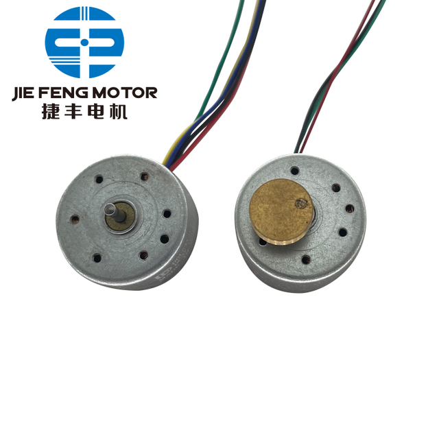 high torque BL2412 BLDC motor